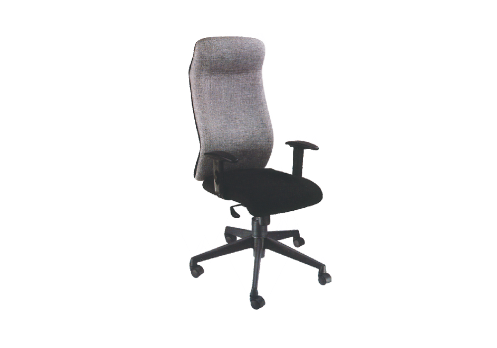buy affordable ergonomic chairs, delhi, noida, gurgaon, india